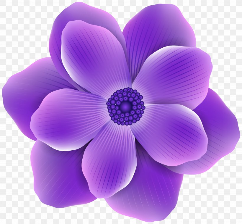 Purple Flower Clip Art, PNG, 5000x4619px, Flower, Anemone, Art, Color, Flowering Plant Download Free