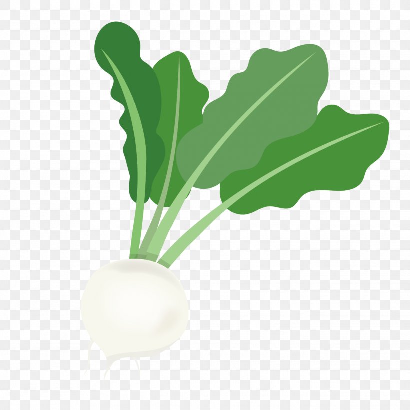 Radish Turnip Leaf Vegetable, PNG, 1321x1321px, Radish, Coloring Book, Condominium, Food, Leaf Download Free