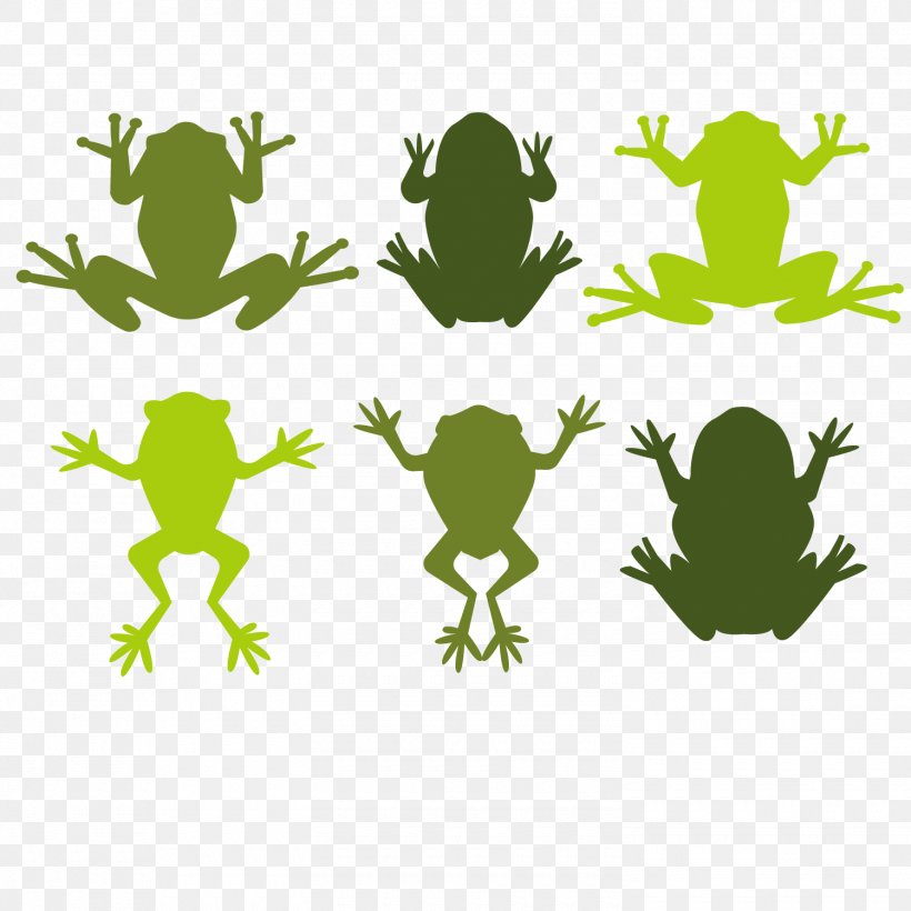 Tree Frog Illustration, PNG, 1500x1501px, Frog, Amphibian, Animal, Australian Green Tree Frog, Drawing Download Free