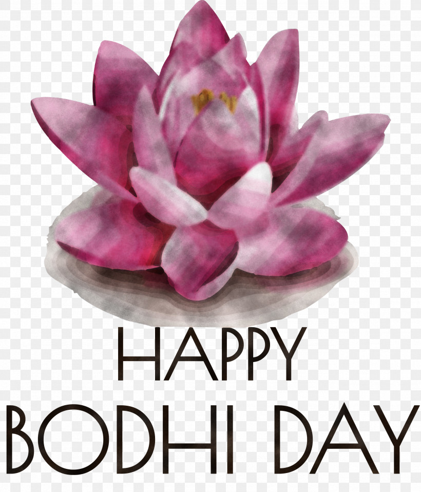Bodhi Day Buddhist Holiday Bodhi, PNG, 2566x3000px, Bodhi Day, Biology, Bodhi, Cut Flowers, Flower Download Free