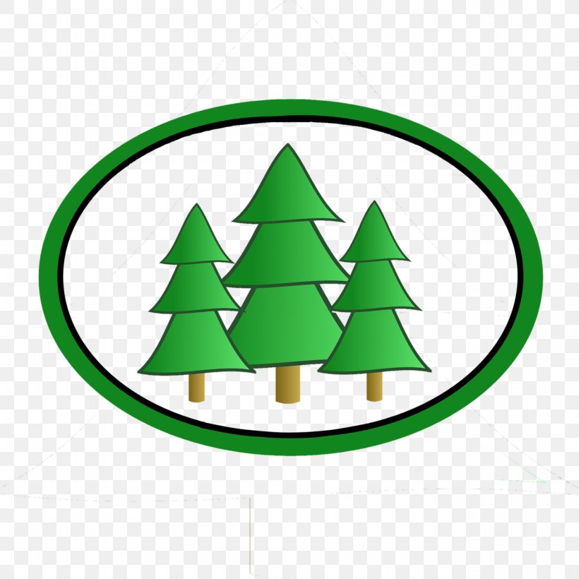 Christmas Tree Conifers Fir Pine, PNG, 1280x1280px, Christmas Tree, Area, Austrocedrus, Cedar, Christmas Download Free