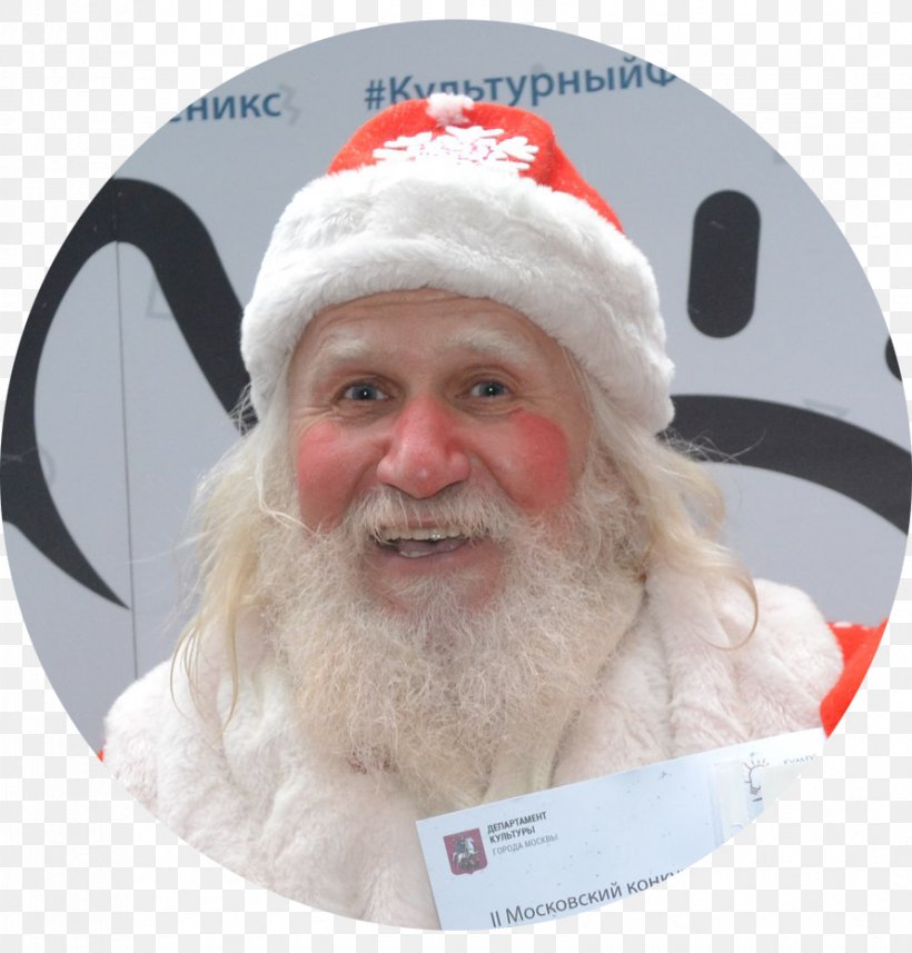Santa Claus Christmas Ornament Beard, PNG, 890x931px, Santa Claus, Beard, Christmas, Christmas Ornament, Facial Hair Download Free