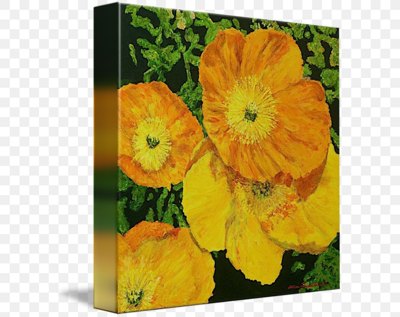 Artwall Allan Friedlander 'blazing Glory' Gallery-Wrapped Canvas Gallery Wrap Blazing Glory By Allan P. Friedlander Hi End Canvas Print, PNG, 589x650px, Gallery Wrap, Annual Plant, Art, Calendula, Canvas Download Free