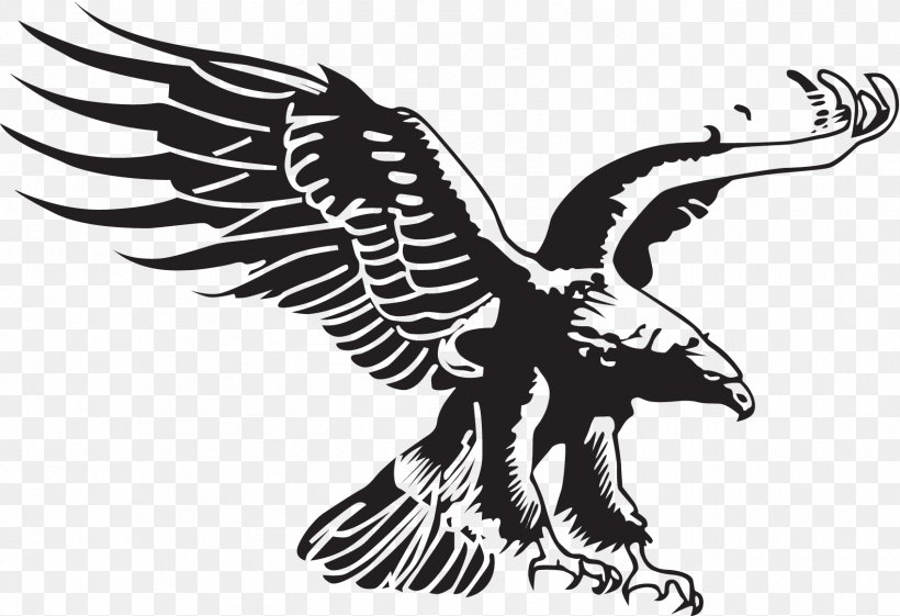 Beşiktaş J.K. Football Team Çarşı Decal, PNG, 1698x1163px, Football, Accipitriformes, Bald Eagle, Beak, Bird Download Free