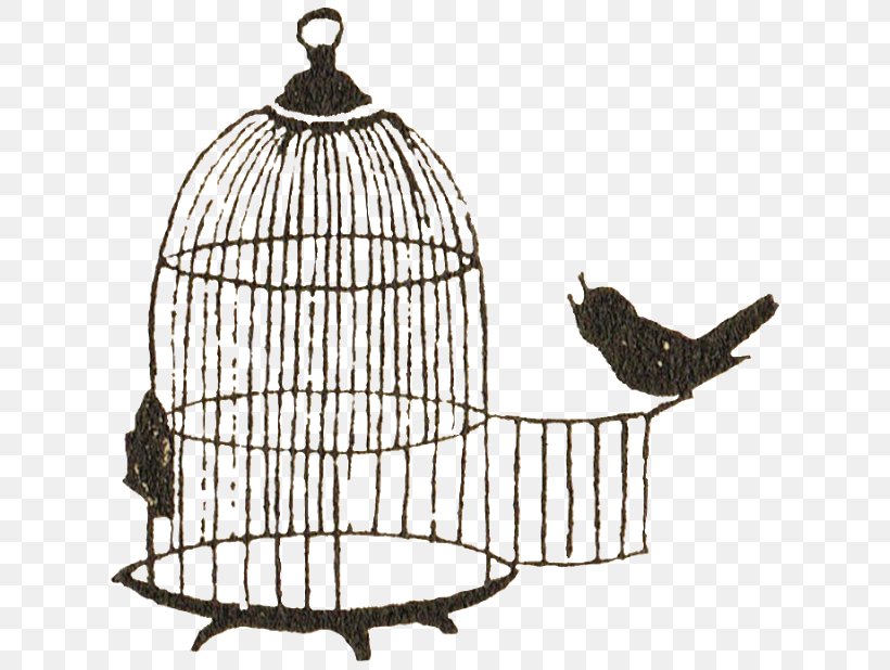 Birdcage Clip Art, PNG, 640x618px, Bird, Art, Birdcage, Cage, Drawing Download Free
