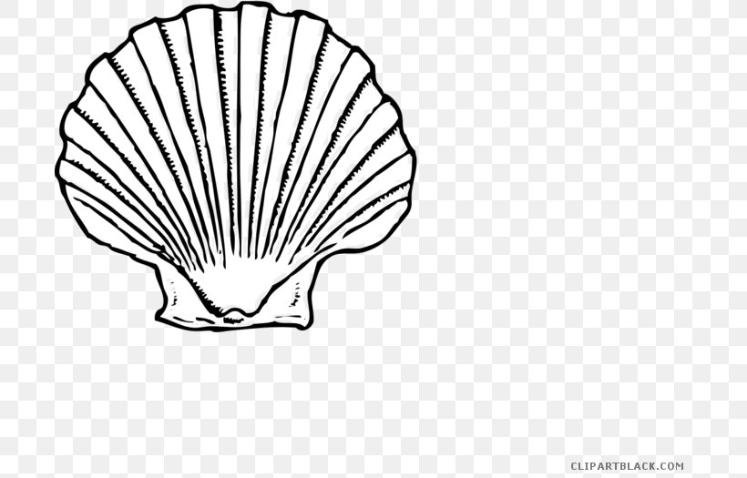 Clip Art Seashell Illustration Vector Graphics Oyster, PNG, 700x525px, Seashell, Artwork, Black And White, Conch, Drawing Download Free