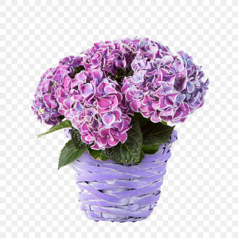 Hydrangea Cut Flowers Blumenversand Blume2000.de Flower Bouquet, PNG, 1800x1800px, Hydrangea, Artificial Flower, Blume, Blumenversand, Cornales Download Free