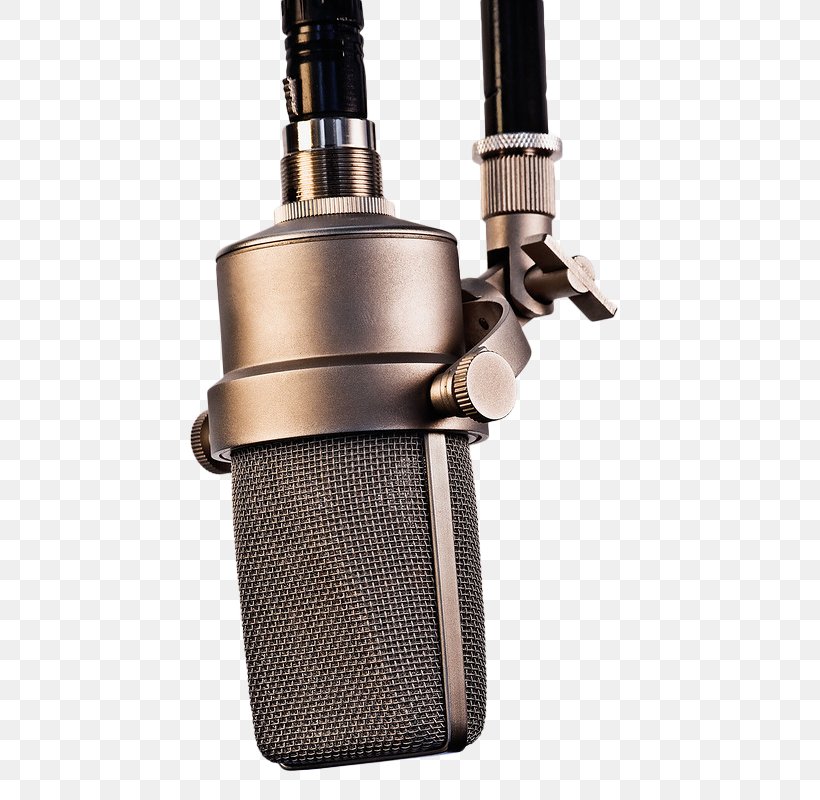 Microphone Recording Studio Sound Recording And Reproduction Singing, PNG, 533x800px, Watercolor, Cartoon, Flower, Frame, Heart Download Free
