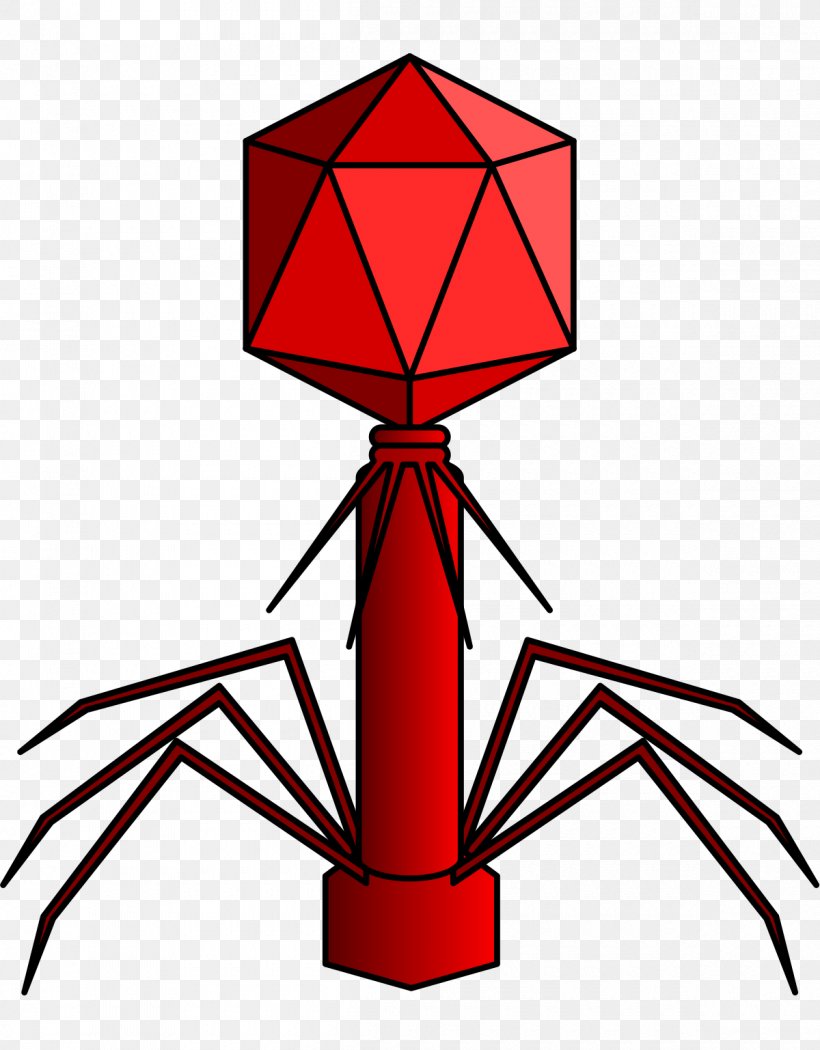 Virus Myoviridae Podoviridae Siphoviridae Bacteriophage, PNG, 1200x1537px, Virus, Adenoviridae, Artwork, Bacteriophage, Caudovirales Download Free