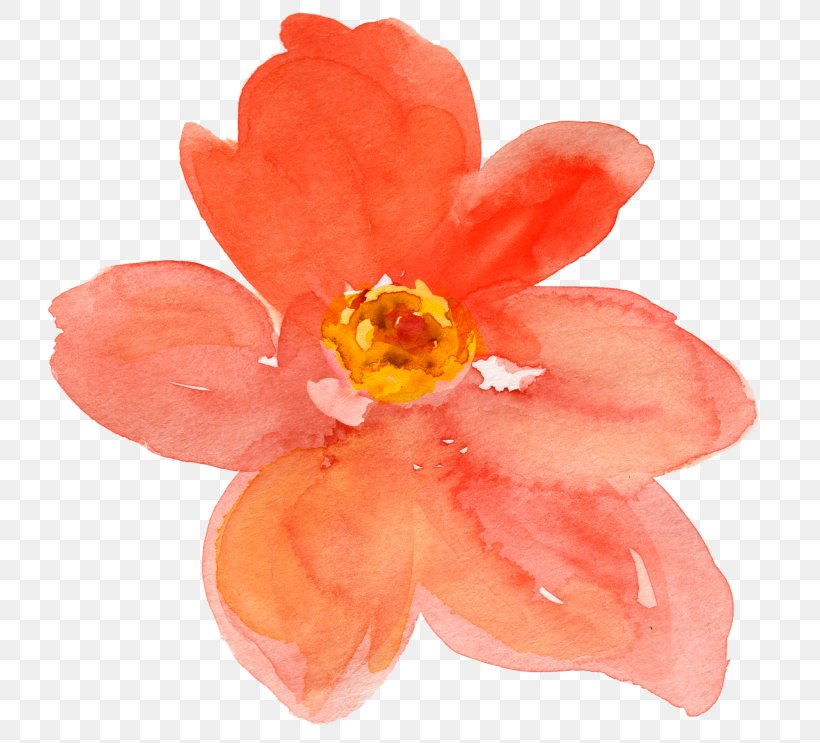 Watercolor Painting Peach Flower Drawing Clip Art, PNG, 768x743px, Watercolor Painting, Art, Color, Drawing, Flower Download Free