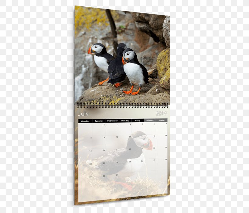 Calendar Landscape Photography Food Photography, PNG, 700x700px, 2018, Calendar, Beak, Bird, Fauna Download Free