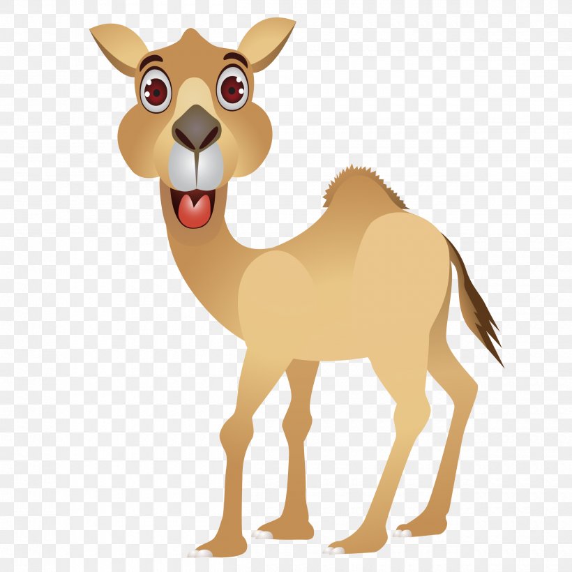 Camel Face Vector Graphics Clip Art Illustration, PNG, 2500x2500px, Camel, Animal Figure, Arabian Camel, Camel Face, Camel Like Mammal Download Free