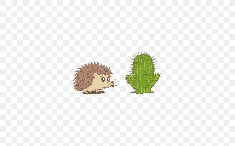 Hedgehog Illustration, PNG, 510x510px, Hedgehog, Askfm, Cartoon, Erinaceidae, Facebook Download Free