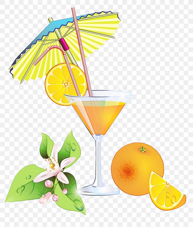 Cocktail Garnish Orange Drink Harvey Wallbanger Daiquiri Martini, PNG, 2070x2428px, Cocktail Garnish, Alcohol, Alcoholic Beverage, Citrus, Cocktail Download Free