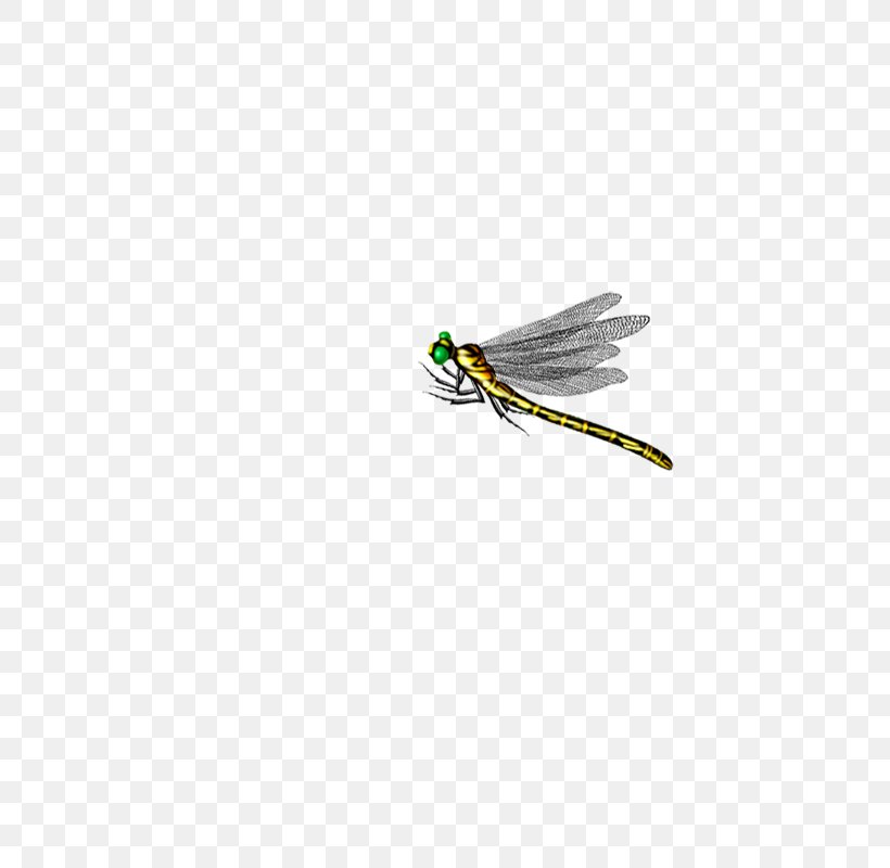 Dragonfly Insect Computer File, PNG, 800x800px, Dragonfly, Animation, Bamboocopter, Beneficial Insects, Insect Download Free