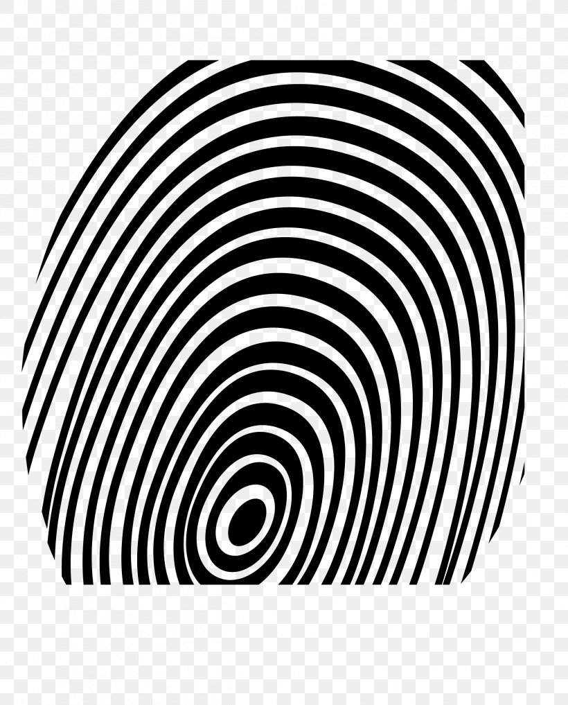 Fingerprint Spiral Logo, PNG, 2493x3094px, Fingerprint, Black And White, Finger, Logo, Monochrome Download Free