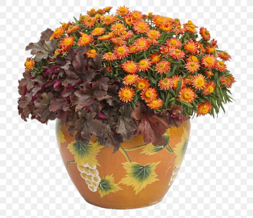 Flowerpot Floral Design Cut Flowers Plant Strawflower, PNG, 736x707px, Flowerpot, Annual Plant, Aquatic Plants, Artificial Flower, Chrysanthemum Download Free