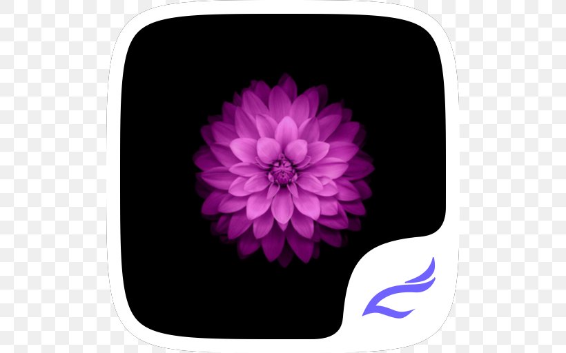IPhone 4S IPhone 6 IPhone X, PNG, 512x512px, Iphone 4s, Computer, Dahlia, Flower, Flowering Plant Download Free