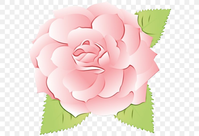 Watercolor Pink Flowers, PNG, 600x560px, Watercolor, Cabbage Rose, Camellia, Cut Flowers, Floral Design Download Free