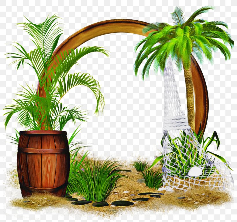 Summer Palm Tree, PNG, 800x766px, Palm Trees, Aquatic Plants, Arecales, Attalea Speciosa, Blog Download Free
