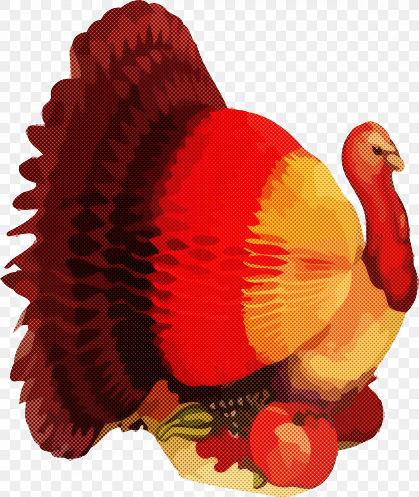 Thanksgiving Turkey, PNG, 2528x2999px, Thanksgiving Turkey, Bird, Red, Thanksgiving, Turkey Download Free