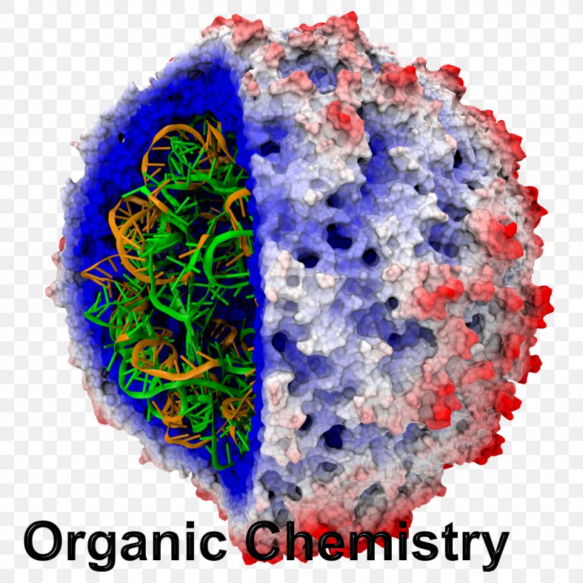 Visual Molecular Dynamics NAMD Computer Simulation Molecule, PNG, 1024x1024px, Watercolor, Cartoon, Flower, Frame, Heart Download Free