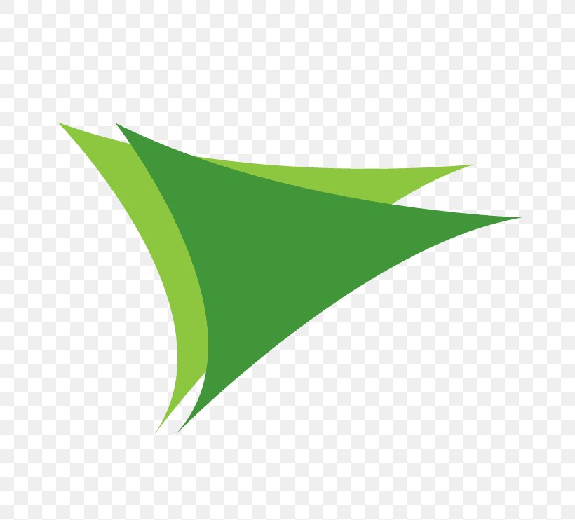 Green Line Leaf, PNG, 742x742px, Green, Grass, Leaf, Plant, Wing Download Free