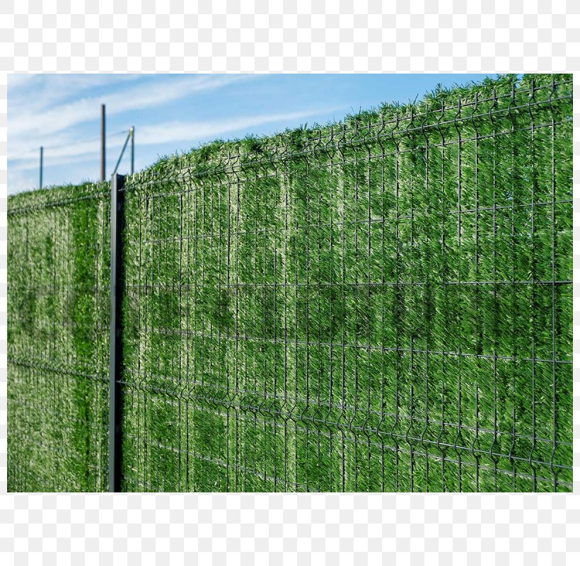 Hedge Chicken Wire Fence Trellis Garden, PNG, 800x800px, Hedge, Biome, Chain Link Fencing, Chicken Wire, Door Download Free