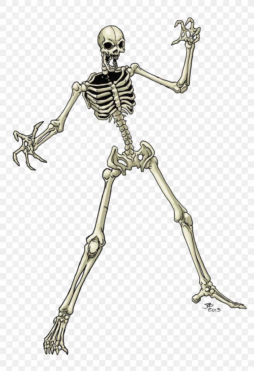 Drawing Human Skeleton Serif Pencil On Stock Illustration 1357308425   Shutterstock