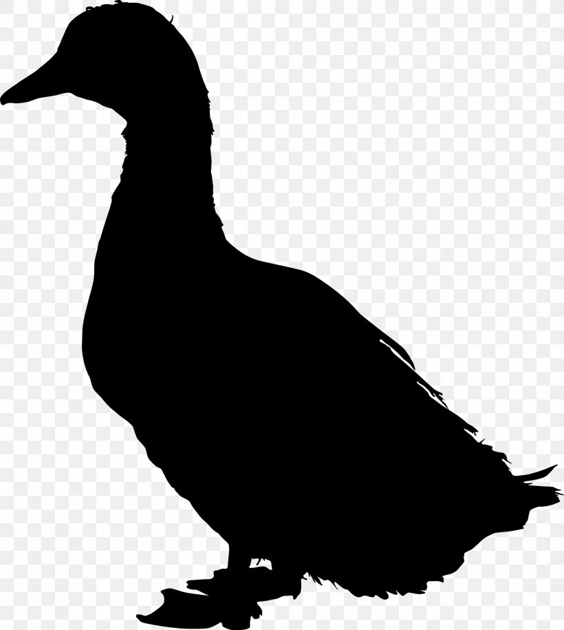 Mallard Duck American Pekin, PNG, 2000x2232px, Mallard, American Black Duck, American Pekin, Anas, Anatidae Download Free
