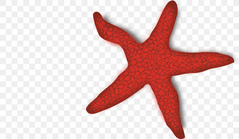 Starfish Clip Art, PNG, 1280x748px, Starfish, Animal, Blue Sea Star, Echinoderm, Information Download Free