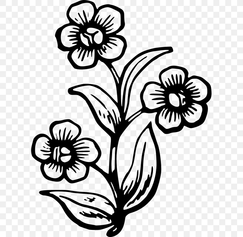 Wildflower Drawing Painting, PNG, 609x800px, Flower, Art, Artwork, Black And White, Cut Flowers Download Free
