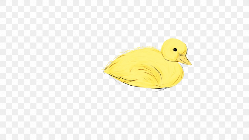 Duck Yellow Beak, PNG, 1920x1080px, Watercolor, Beak, Duck, Paint, Wet Ink Download Free