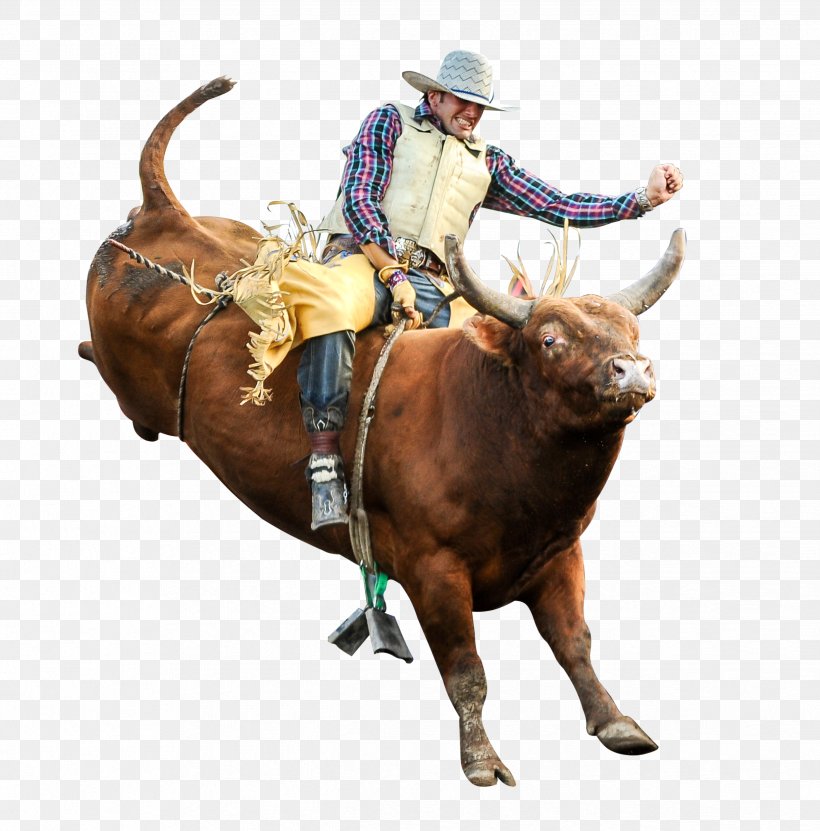 Bull Riding Professional Bull Riders Rodeo Bucking Bull, PNG, 2476x2512px, Bull Riding, Barrel Racing, Bucking Bull, Built Ford Tough Series, Bull Download Free