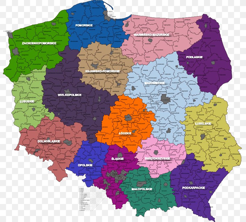 Kuyavian-Pomeranian Voivodeship Royalty-free Voivodeships Of Poland, PNG,  800x740px, Kuyavianpomeranian Voivodeship, Area, Europe, Map, Poland