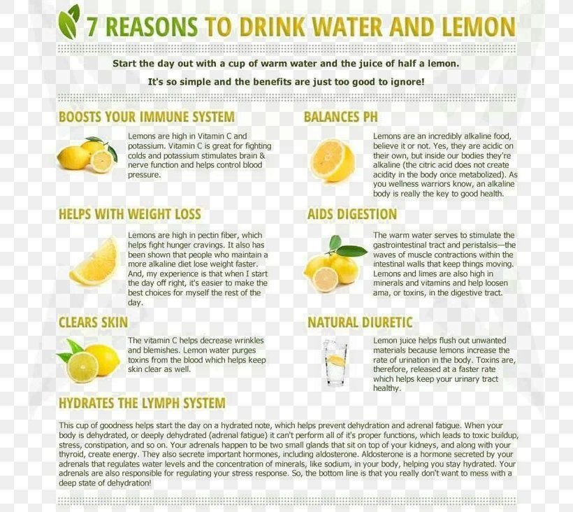 Lemon Juice Tea Drinking, PNG, 736x732px, Lemon, Citrus, Diet Drink, Drink, Drinking Download Free