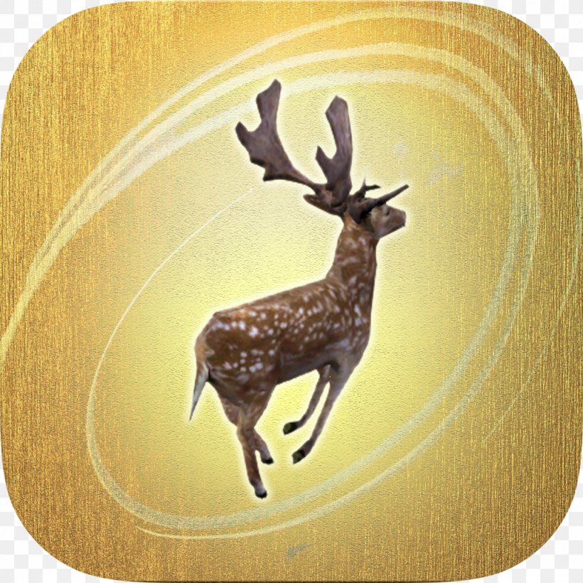 Reindeer Antler Wildlife, PNG, 1024x1024px, Reindeer, Antler, Deer, Fauna, Wildlife Download Free