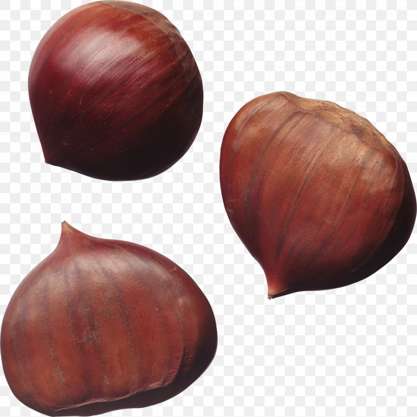 Sweet Chestnut Nuts Hazelnut, PNG, 2645x2649px, Sweet Chestnut, Chestnut, Dried Fruit, English Walnut, Fruit Download Free