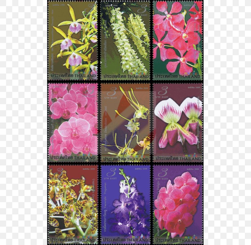 Floral Design Pink M RTV Pink Flowering Plant, PNG, 800x800px, Floral Design, Collage, Flora, Flower, Flower Arranging Download Free