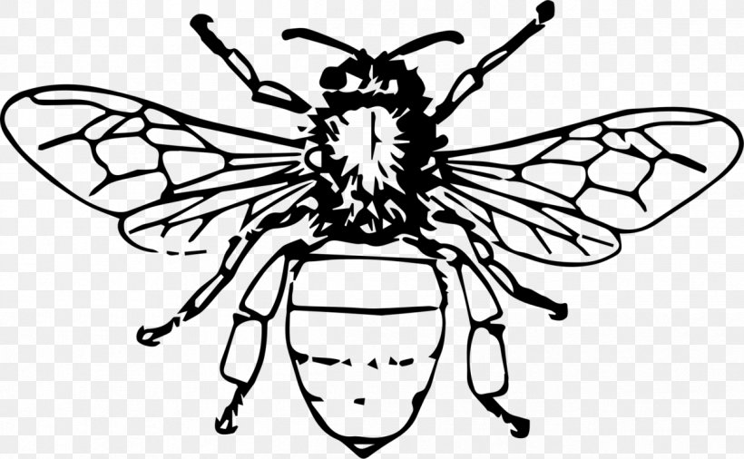 Bee Insect Drawing Vector Graphics Illustration, PNG, 1215x750px, Bee, Arthropod, Beehive, Blackandwhite, Bumblebee Download Free