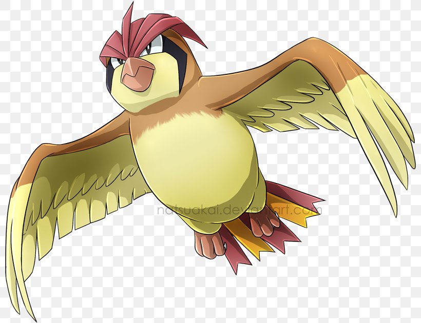 Pokémon Omega Ruby And Alpha Sapphire Pokémon X And Y Pidgeotto Pokémon FireRed And LeafGreen, PNG, 800x630px, Watercolor, Cartoon, Flower, Frame, Heart Download Free