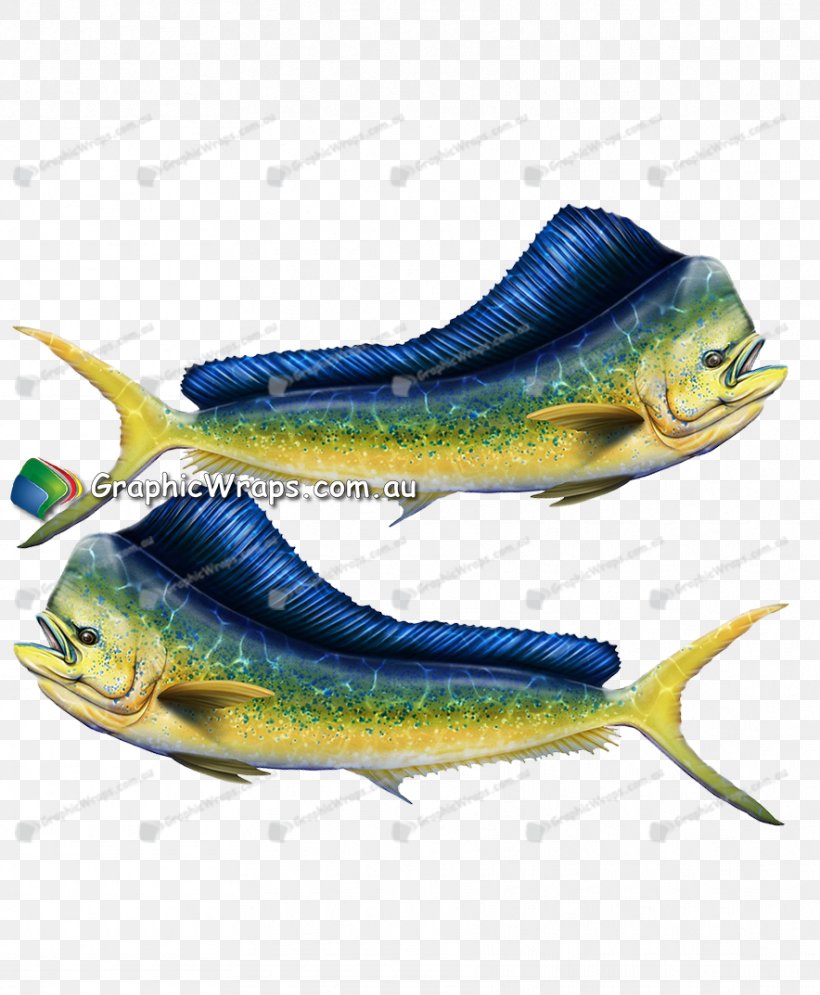 Sardine Shoe, PNG, 884x1073px, Sardine, Fish, Footwear, Herring, Organism Download Free