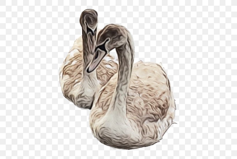 Swan Bird Water Bird Ducks, Geese And Swans Waterfowl, PNG, 550x550px, Watercolor, Beak, Bird, Duck, Ducks Geese And Swans Download Free