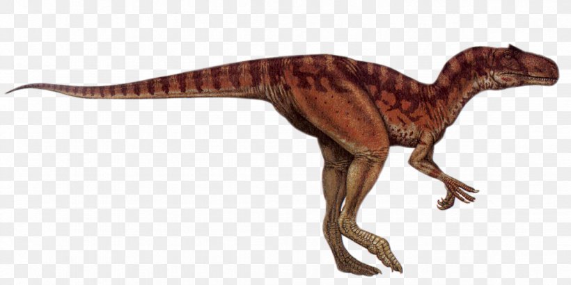 Allosaurus Tyrannosaurus Dinosaur Afrovenator Parasaurolophus, PNG, 1181x591px, Allosaurus, Afrovenator, Animal, Dinosaur, Diplodocus Download Free
