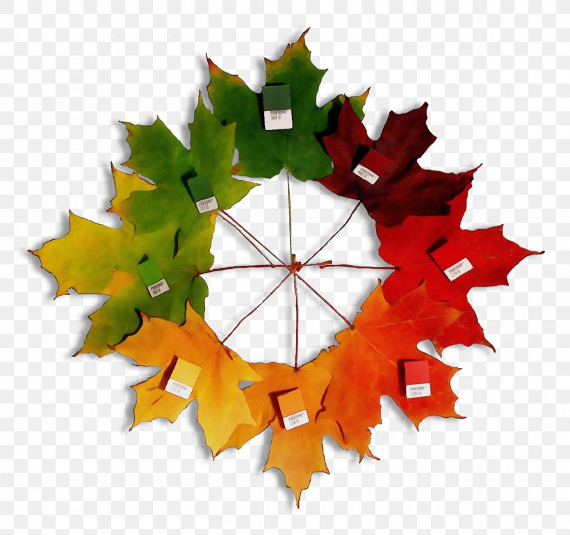 Rainbow Color Background, PNG, 1420x1333px, Watercolor, Autumn, Autumn Leaf Color, Black Maple, Color Download Free