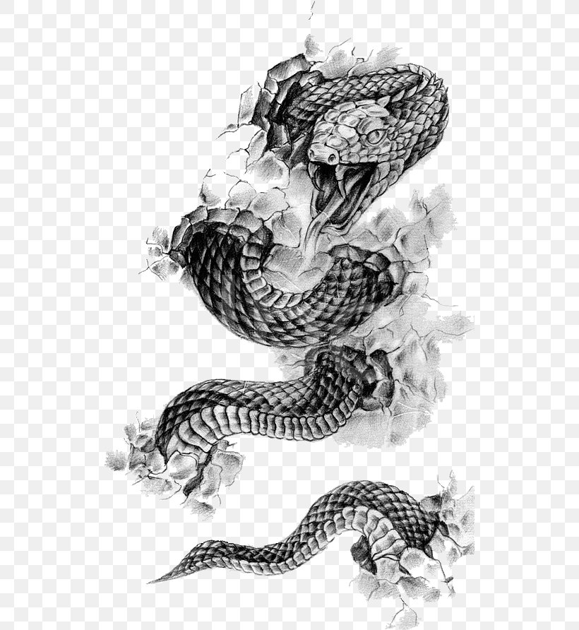 Rattlesnake Tattoo Flash Black-and-gray, PNG, 525x892px, Snake, Automotive Design, Black And White, Black Mamba, Blackandgray Download Free