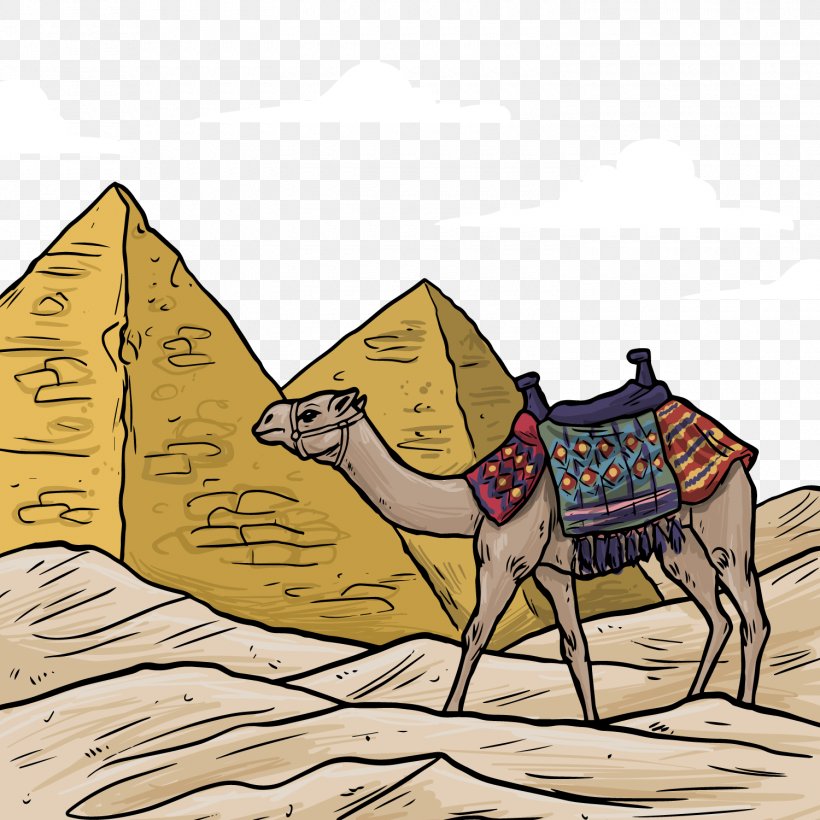 Egyptian Pyramids Bactrian Camel Ancient Egypt Drawing Illustration