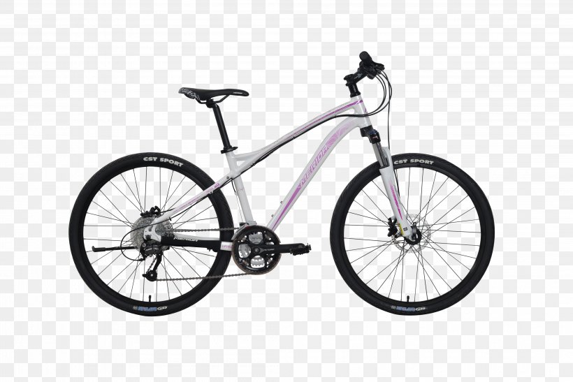 Electric Bicycle Mountain Bike Cycling Tern, PNG, 4211x2811px, Bicycle, Bicycle Accessory, Bicycle Commuting, Bicycle Drivetrain Part, Bicycle Fork Download Free
