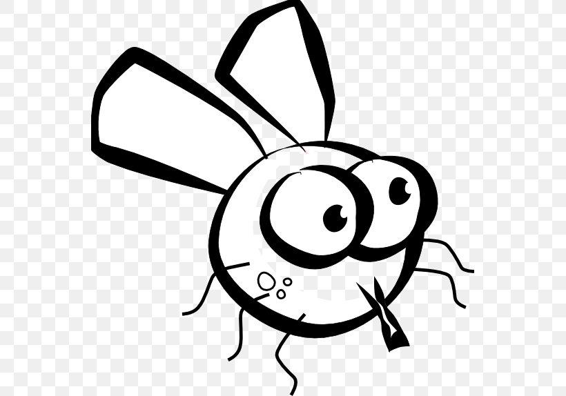 Insect Drawing Fly Black And White Clip Art, PNG, 555x574px, Insect, Animation, Artwork, Black And White, Cartoon Download Free
