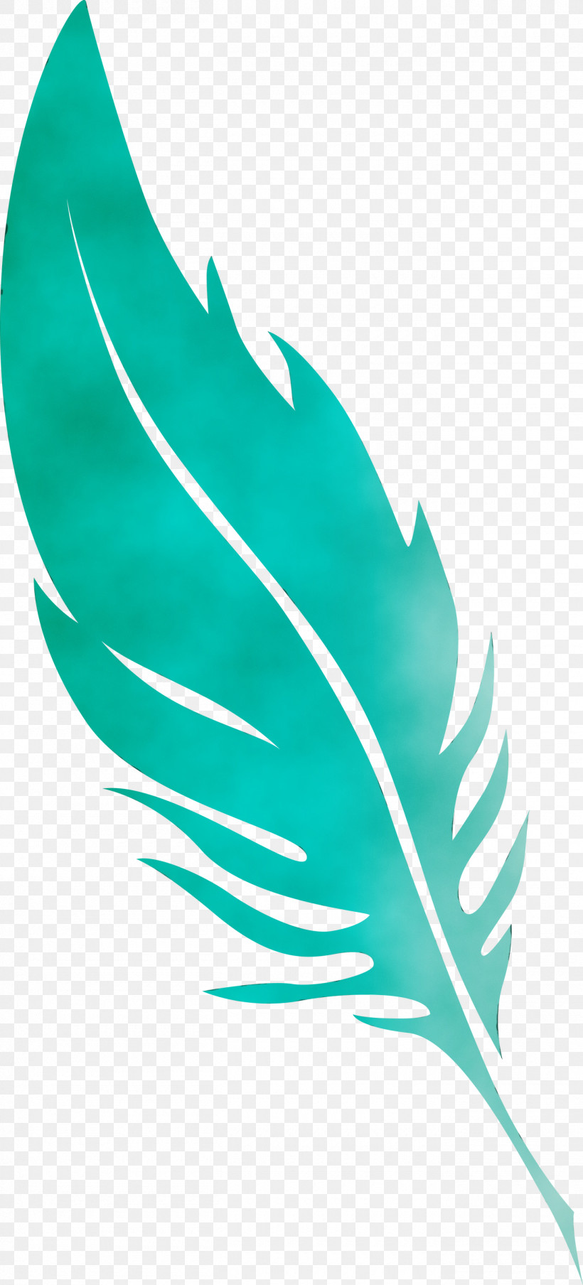 Leaf Green Quill Line Plant Structure, PNG, 1360x3000px, Feather, Biology, Green, Leaf, Line Download Free